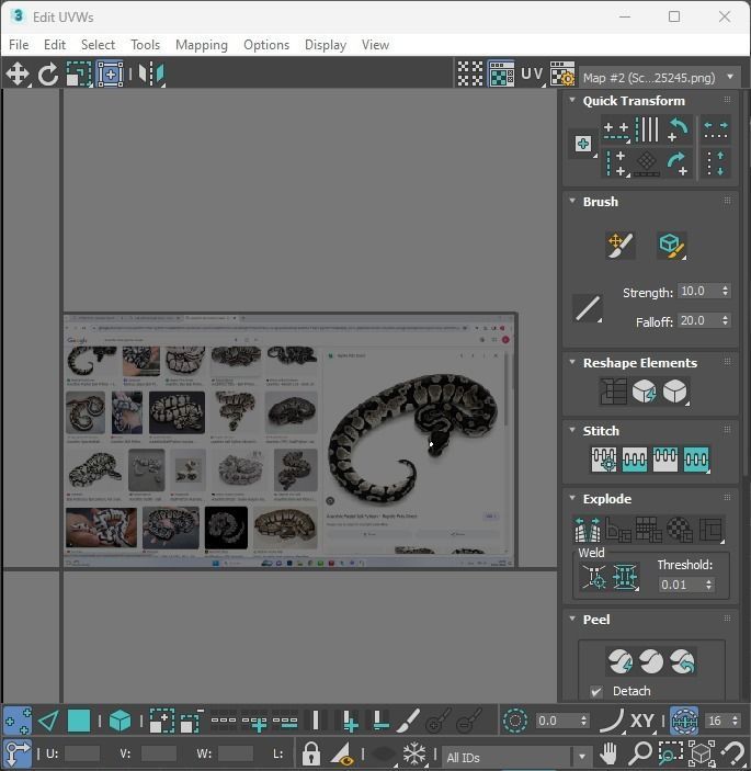 Axanthic Ball Python Snake 3D model_33