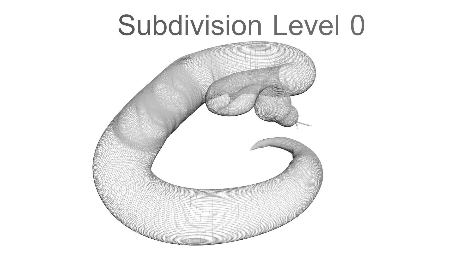 Axanthic Ball Python Snake 3D model_30