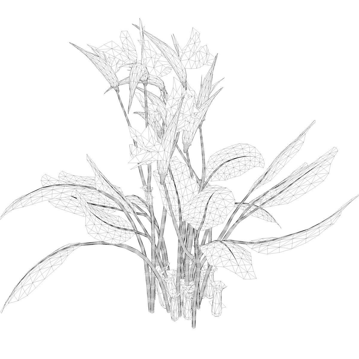 Bird of Paradise Flower - 03 - 3D model_2