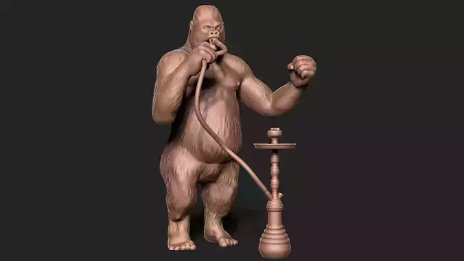 Gorilla smoking Shisha hookah