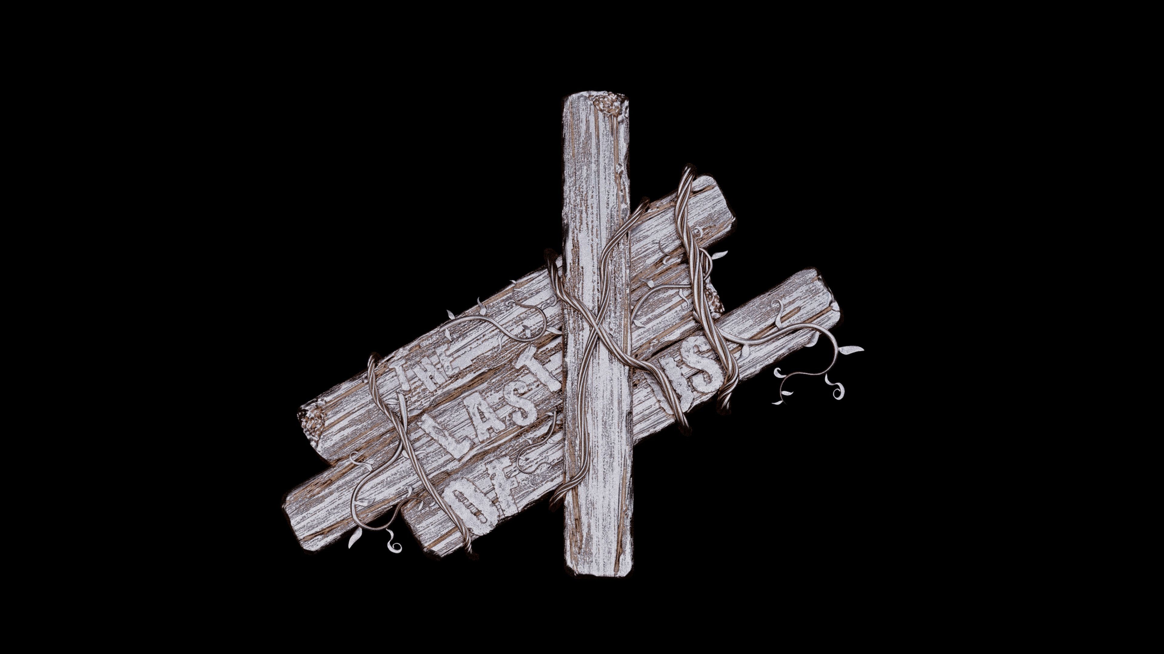 The Last Of Us 3D model_2