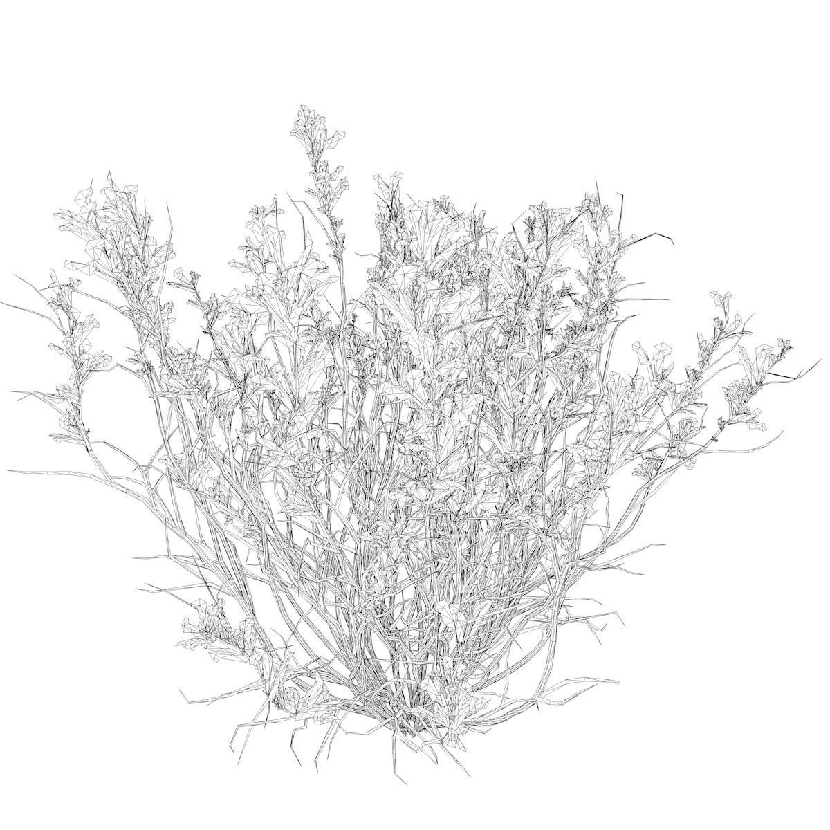 Broom Snakeweed with flowers - 01 - 3D model_2