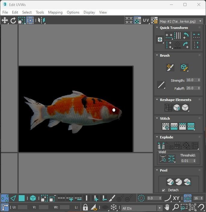 Fishes Set 3D model_32