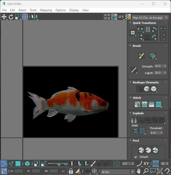 Fishes Set 3D model_31