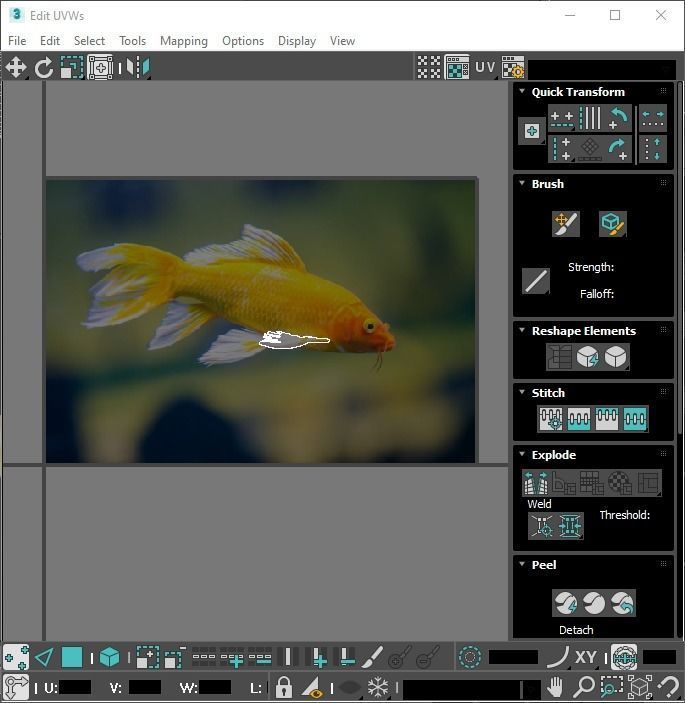 Fishes Set 3D model_40
