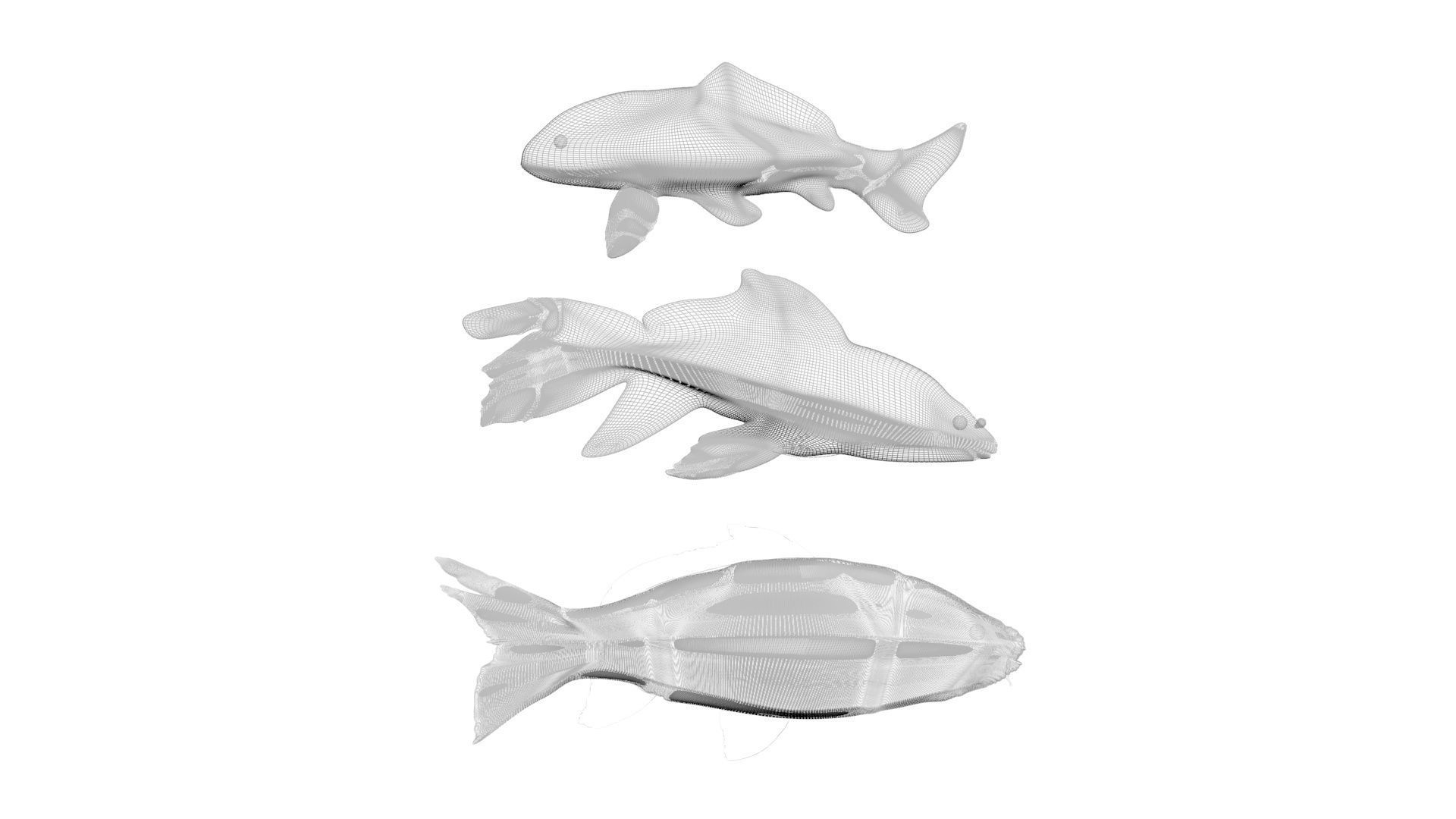 Fishes Set 3D model_24