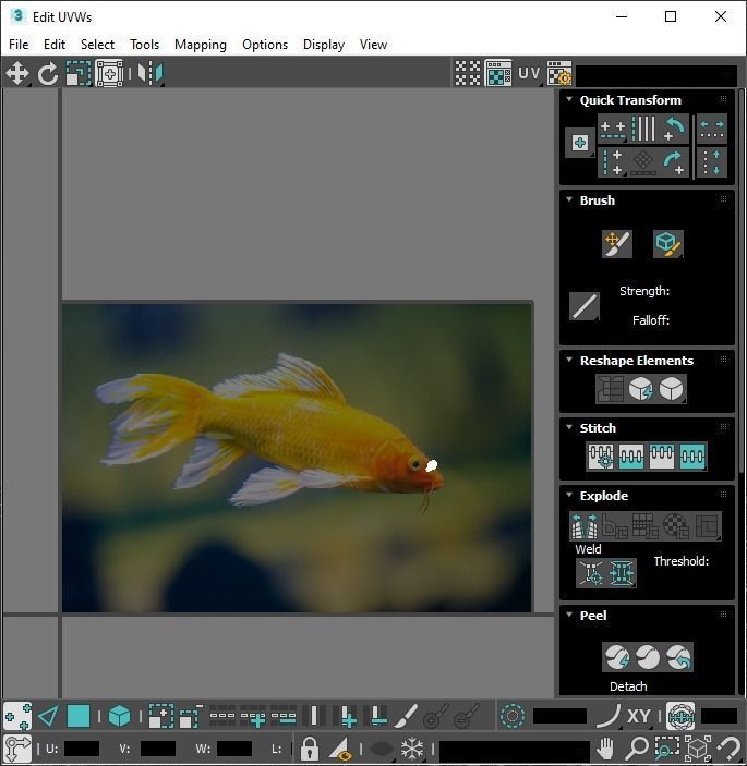 Fishes Set 3D model_41