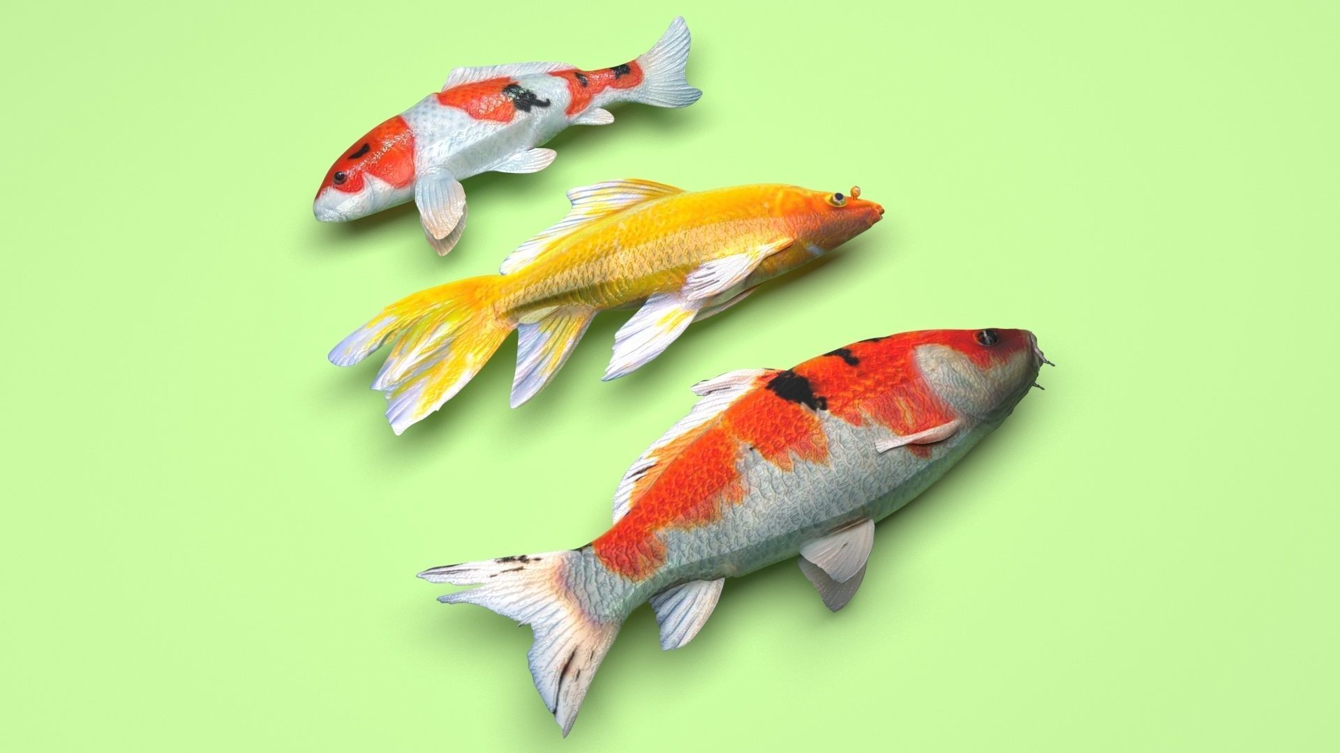 Fishes Set 3D model_6