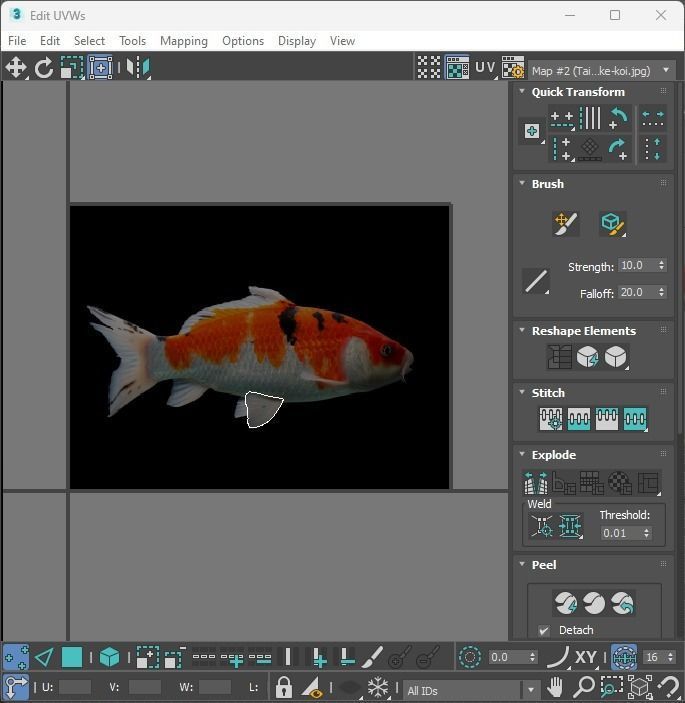 Fishes Set 3D model_30
