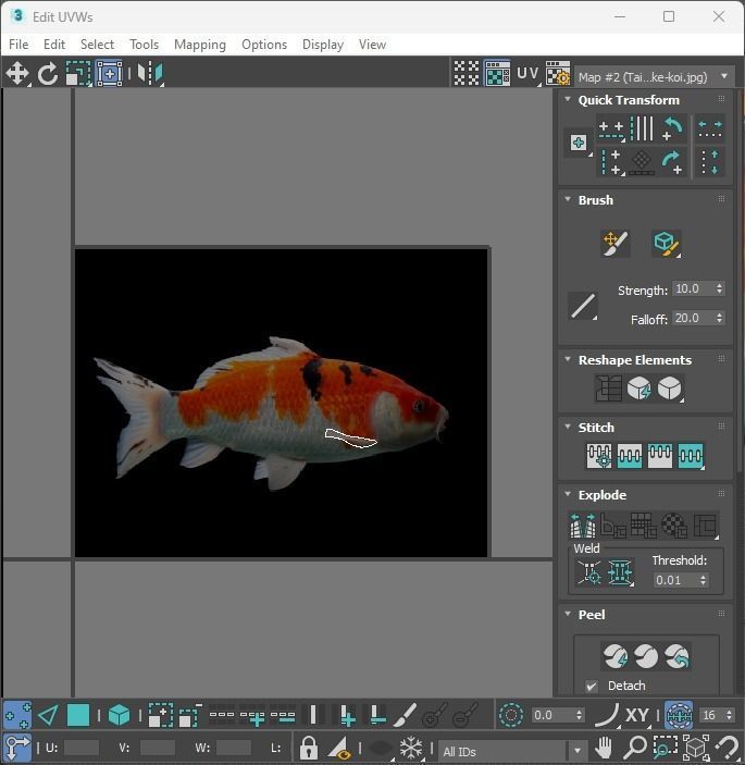 Fishes Set 3D model_33