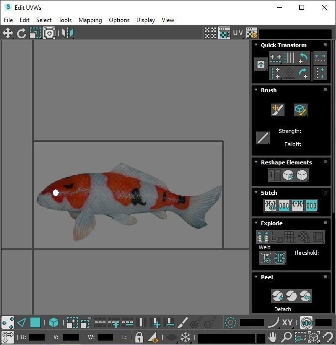 Fishes Set 3D model_38