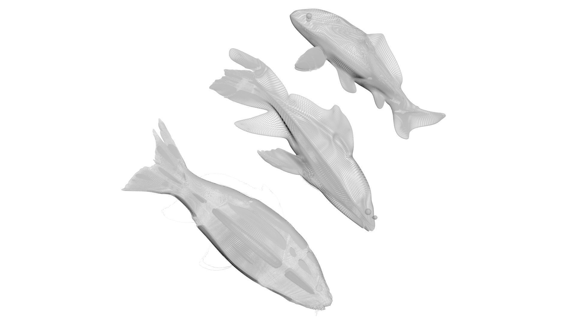 Fishes Set 3D model_20
