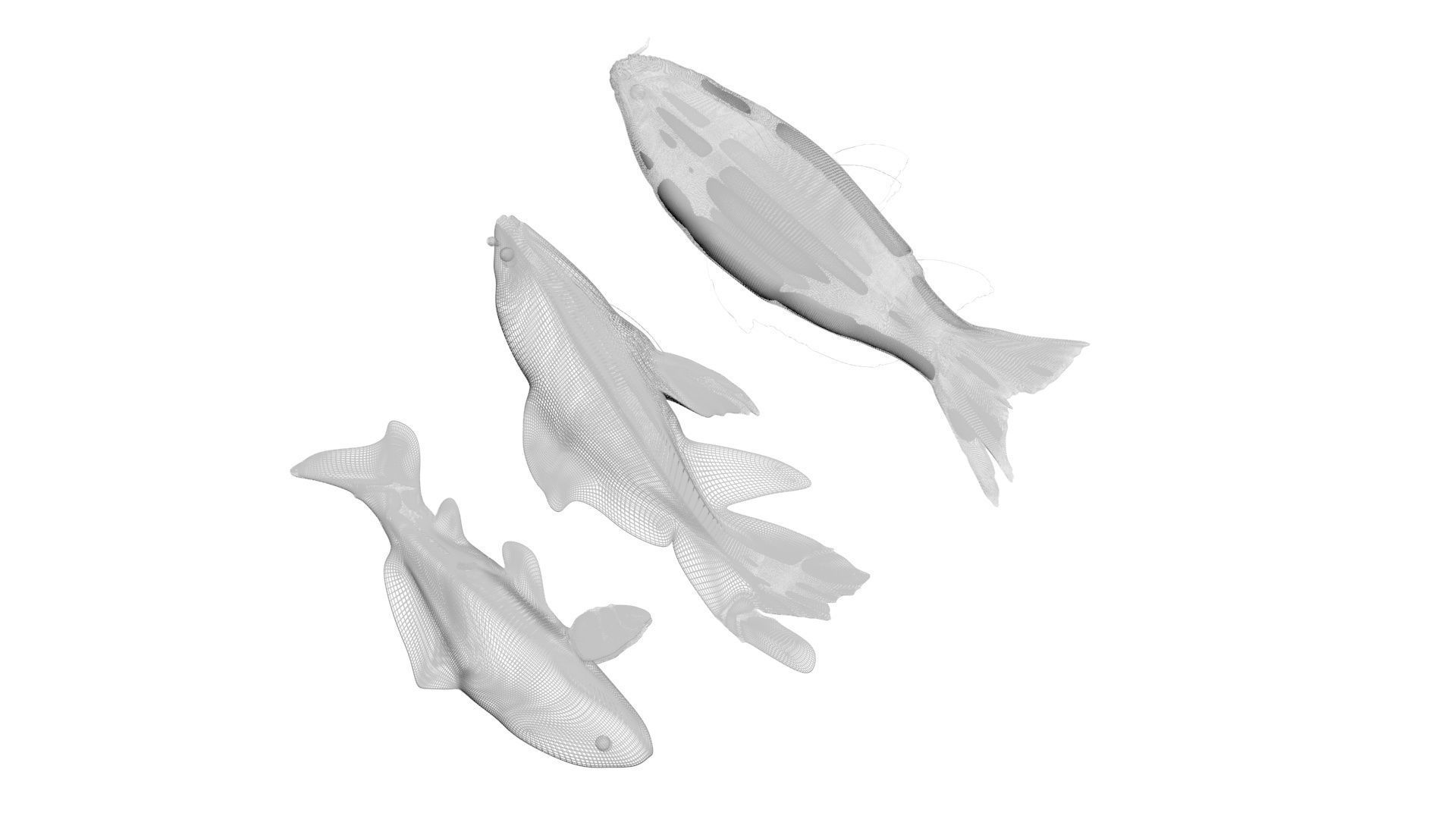 Fishes Set 3D model_22
