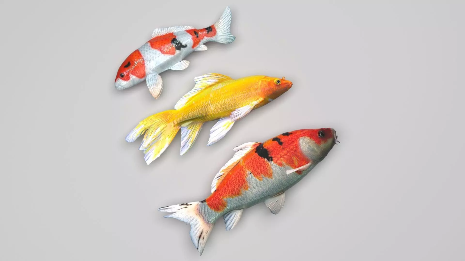 Fishes Set 3D model_0