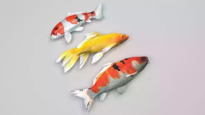 Fishes Set 3D model