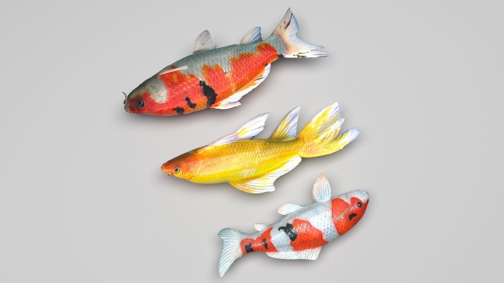 Fishes Set 3D model_2