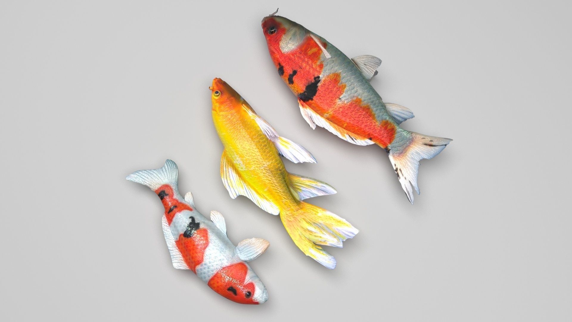 Fishes Set 3D model_3