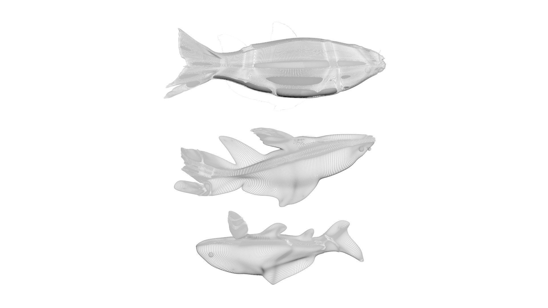 Fishes Set 3D model_27
