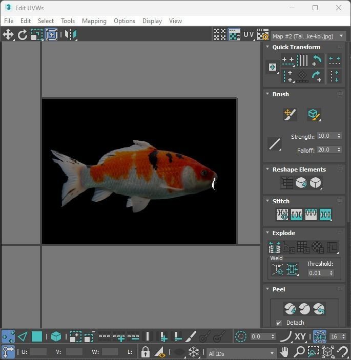 Fishes Set 3D model_35