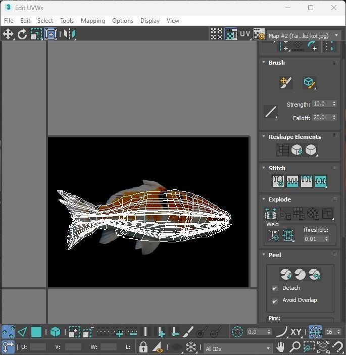 Fishes Set 3D model_34