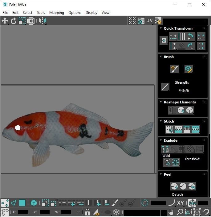 Fishes Set 3D model_39