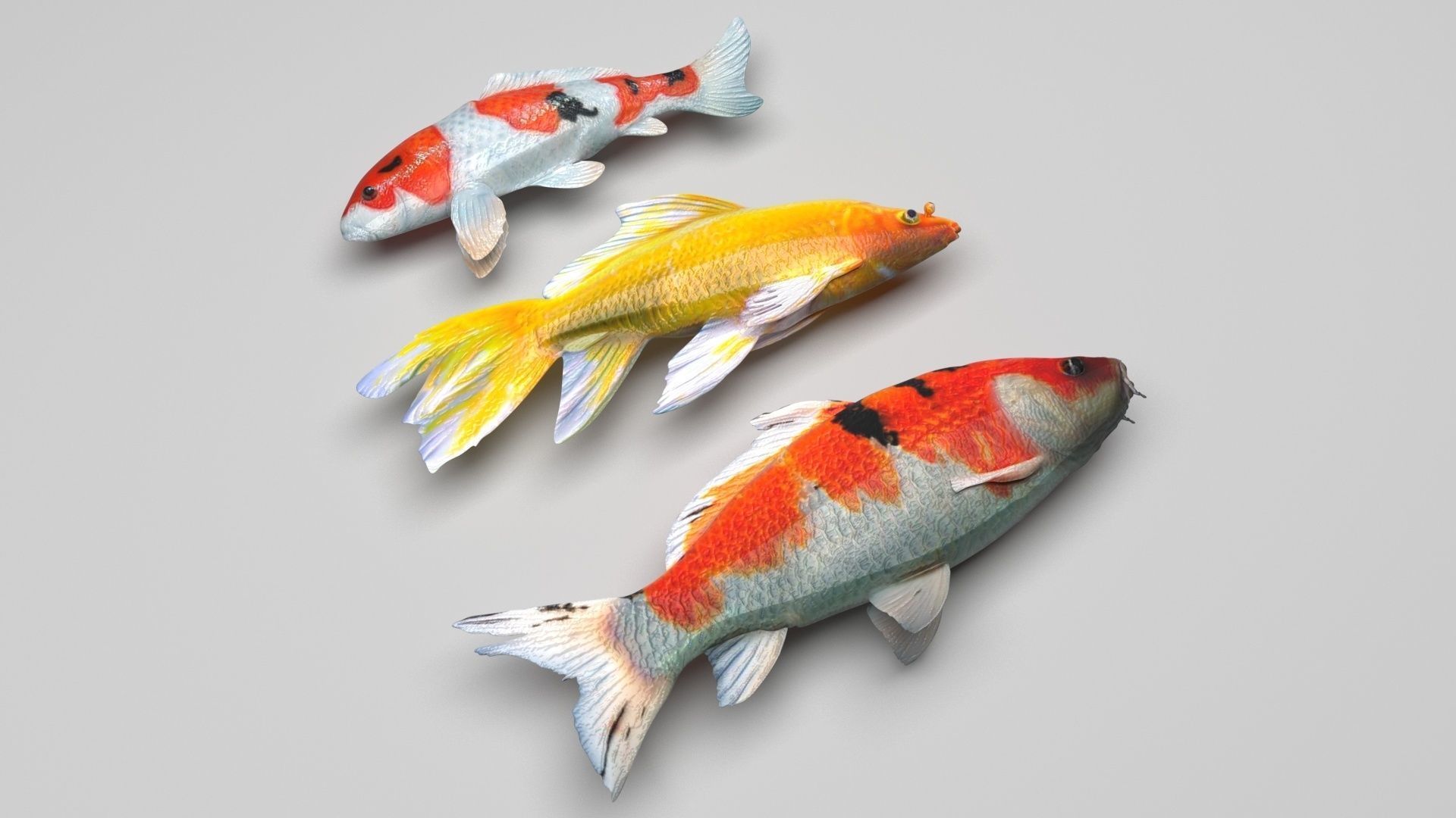 Fishes Set 3D model_4