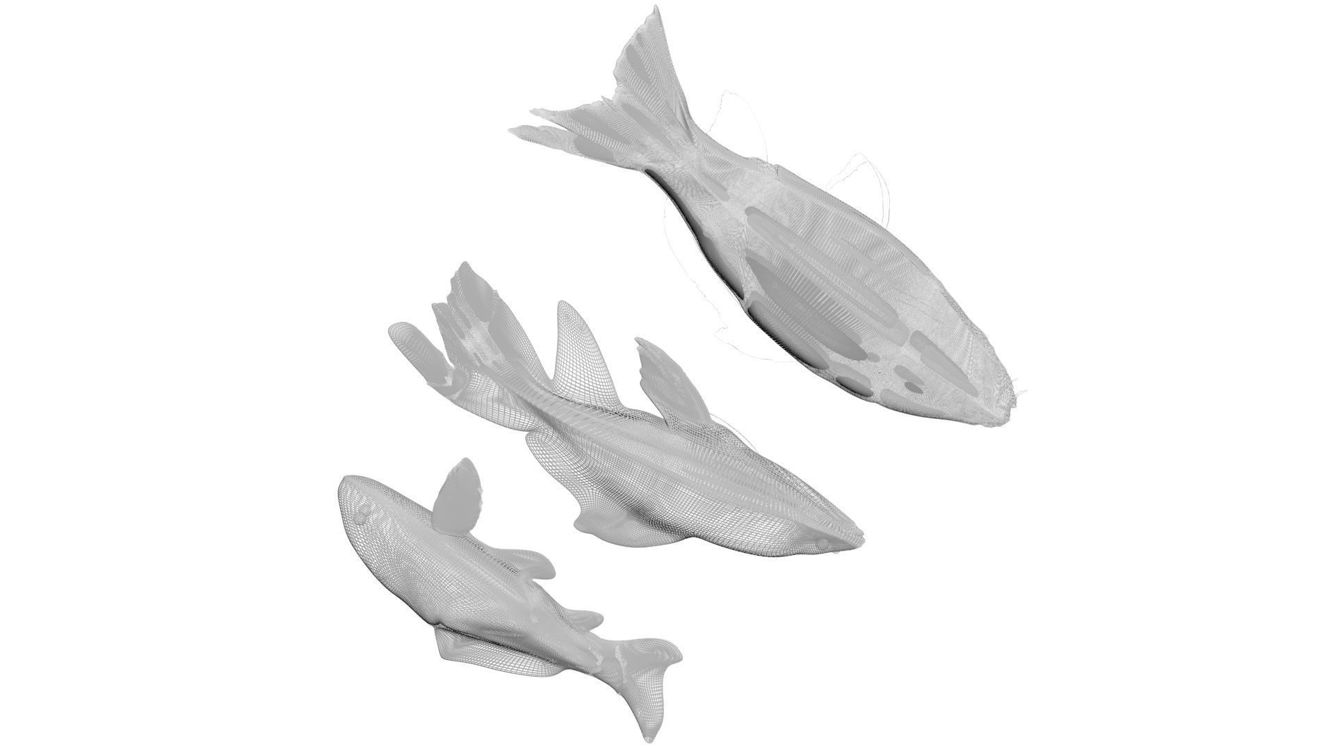 Fishes Set 3D model_23
