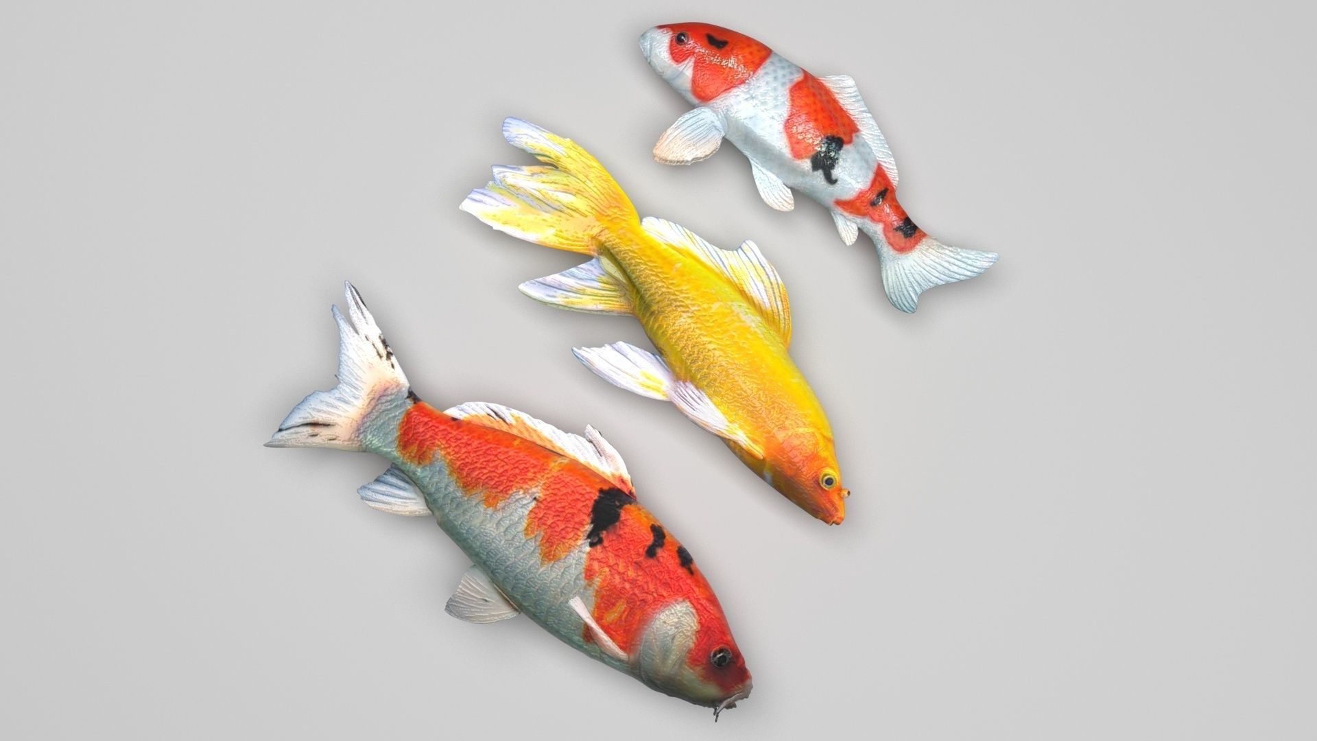 Fishes Set 3D model_1