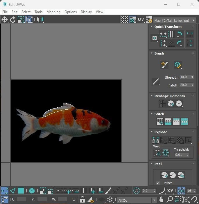 Fishes Set 3D model_36