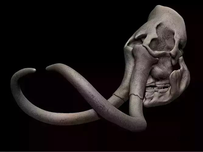 Woolly  Mammoth Skull 3D print model