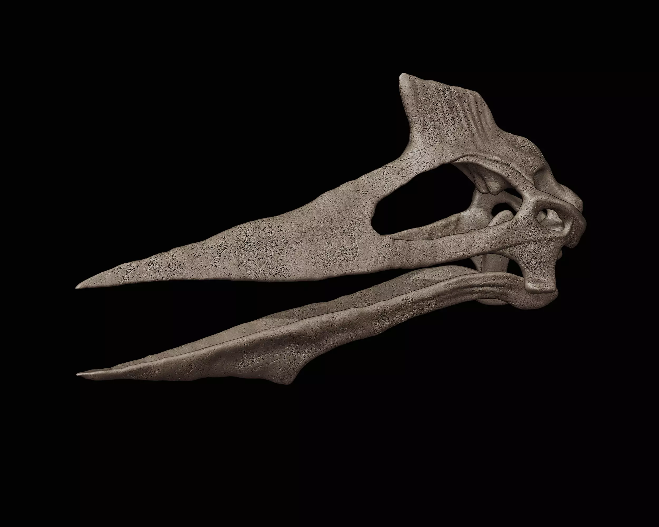 Quetzalcoatlus skull 3D print model_0