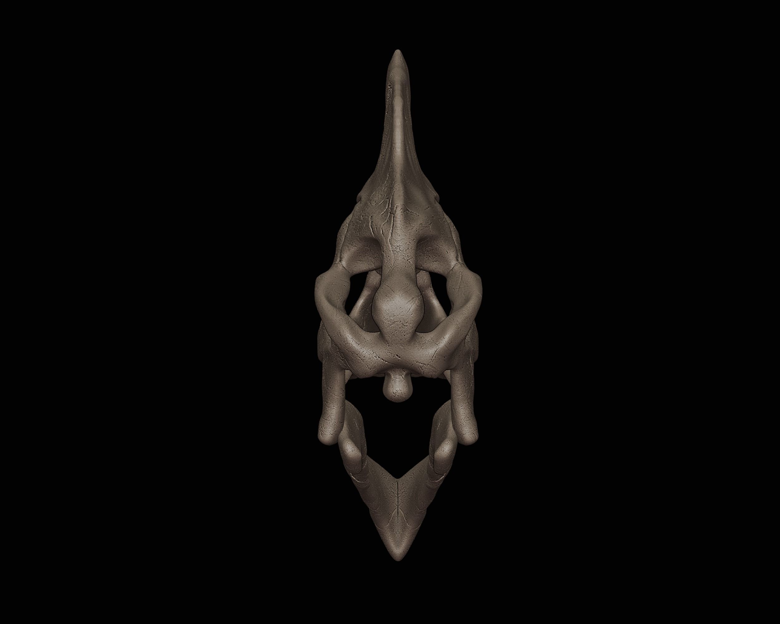 Quetzalcoatlus skull 3D print model_4