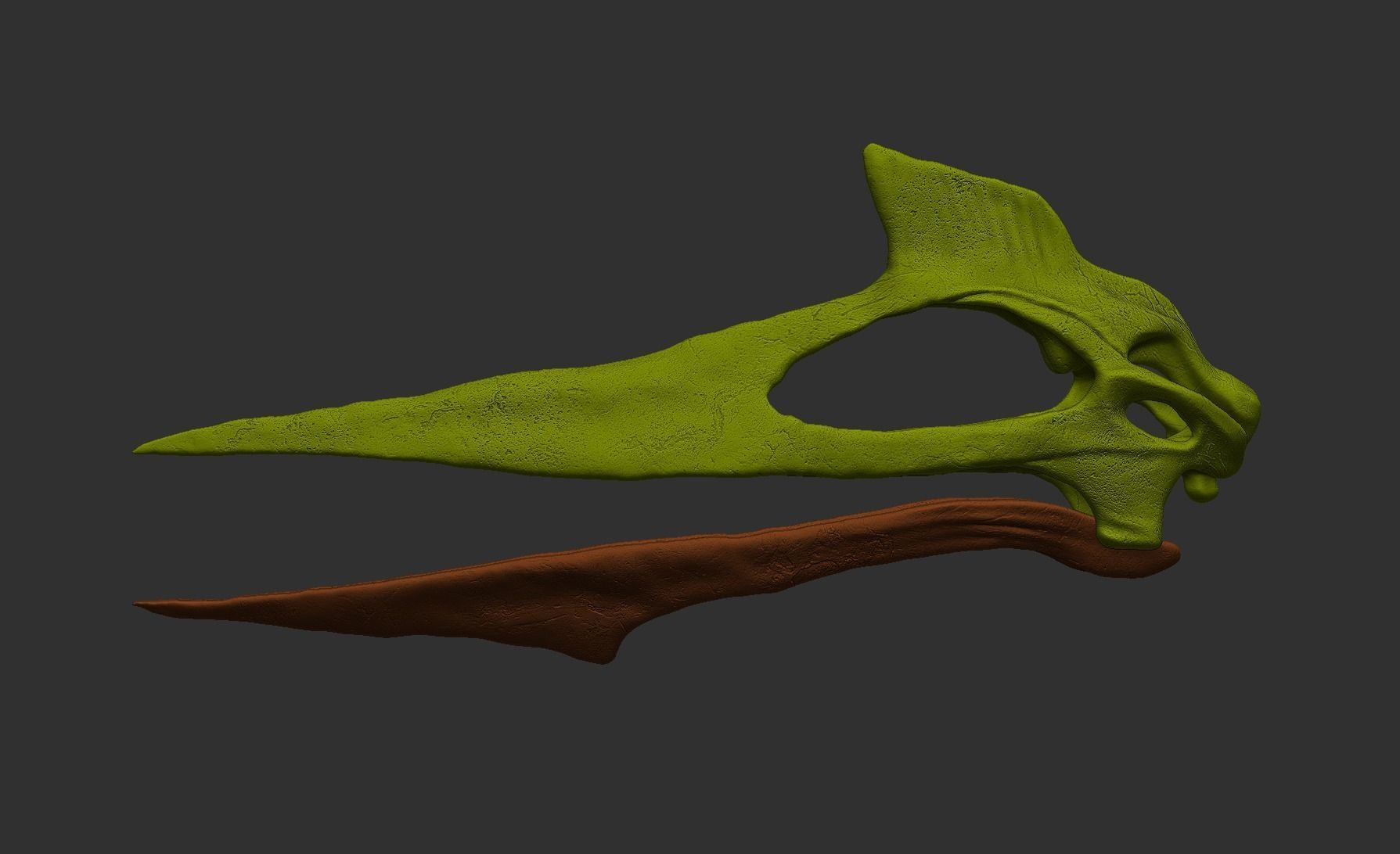 Quetzalcoatlus skull 3D print model_6