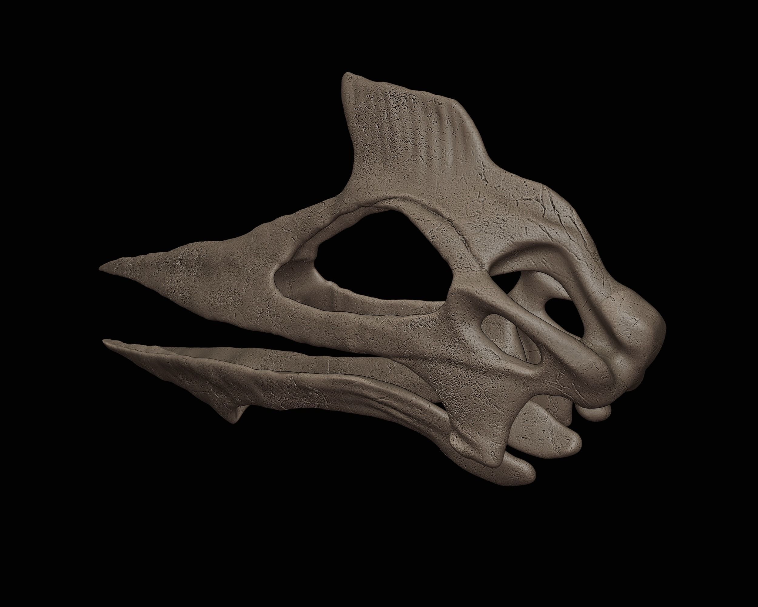 Quetzalcoatlus skull 3D print model_3