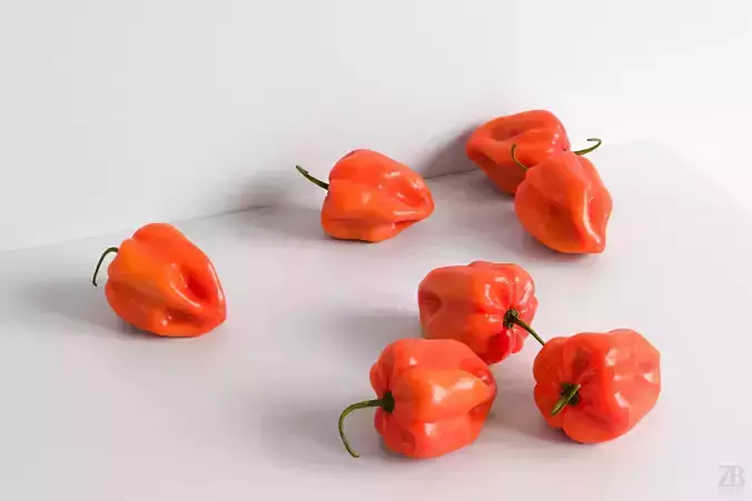 Habanero 3D model