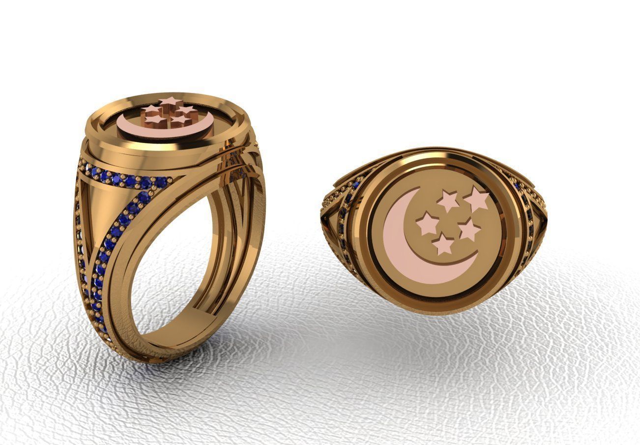 ring 50 pieces drawing 3d rihone drawing ring 3D print model_21