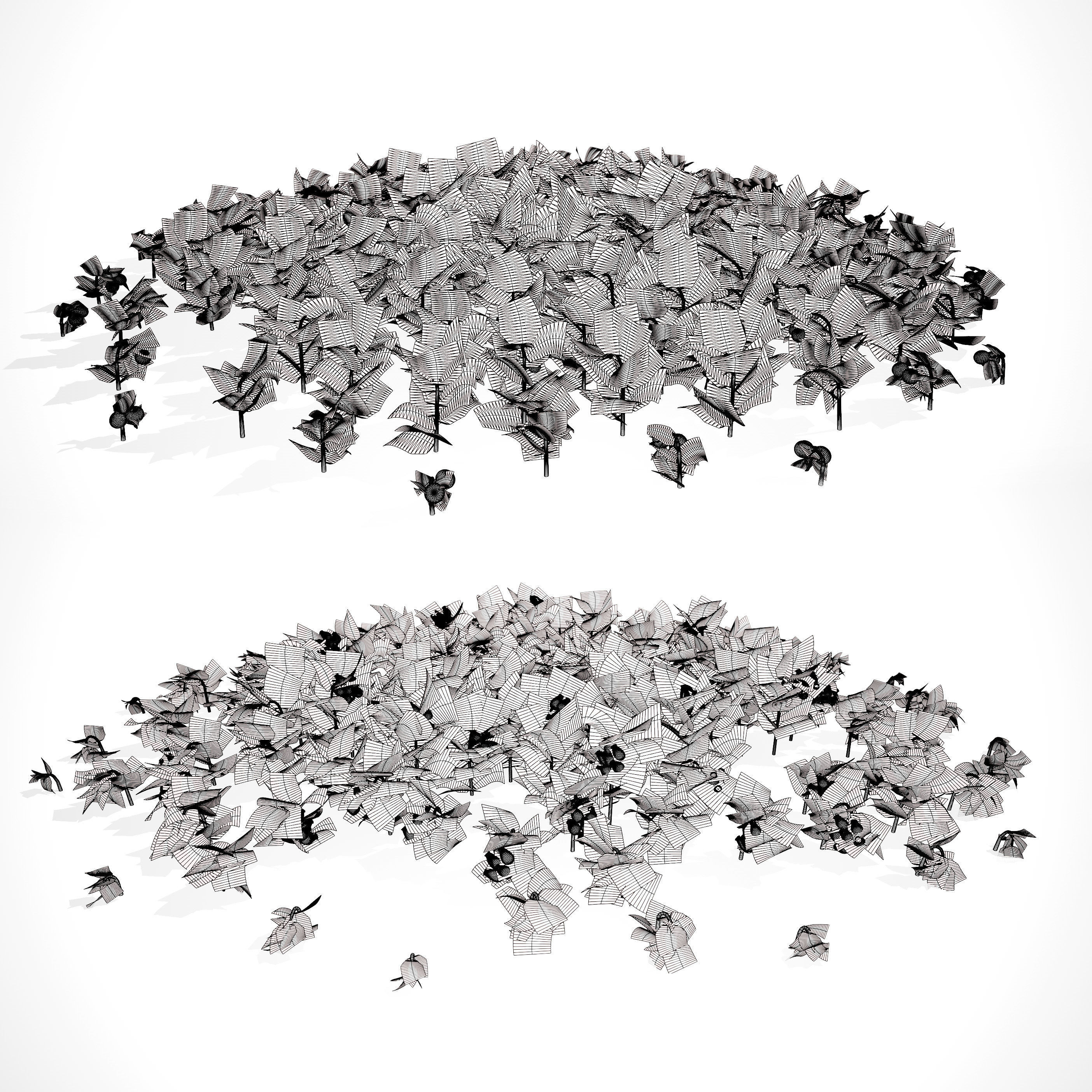 Arctostaphylos Massachusetts Hybrid plants Free 3D model_14