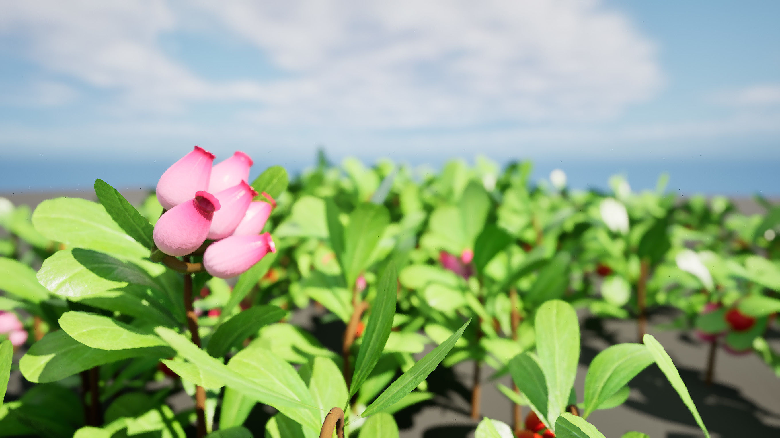 Arctostaphylos Massachusetts Hybrid plants Free 3D model_2