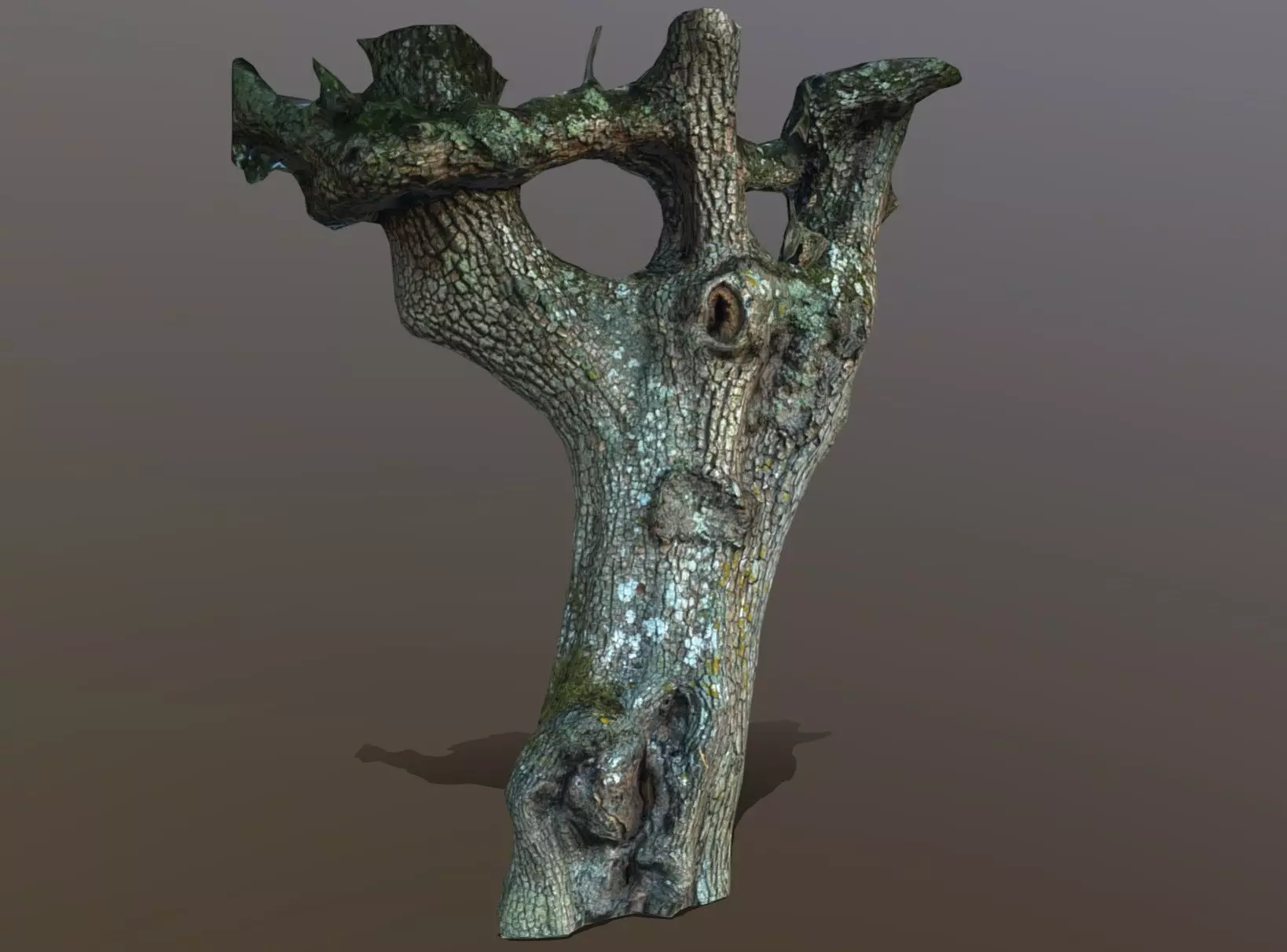 tree specimen 3D model_0