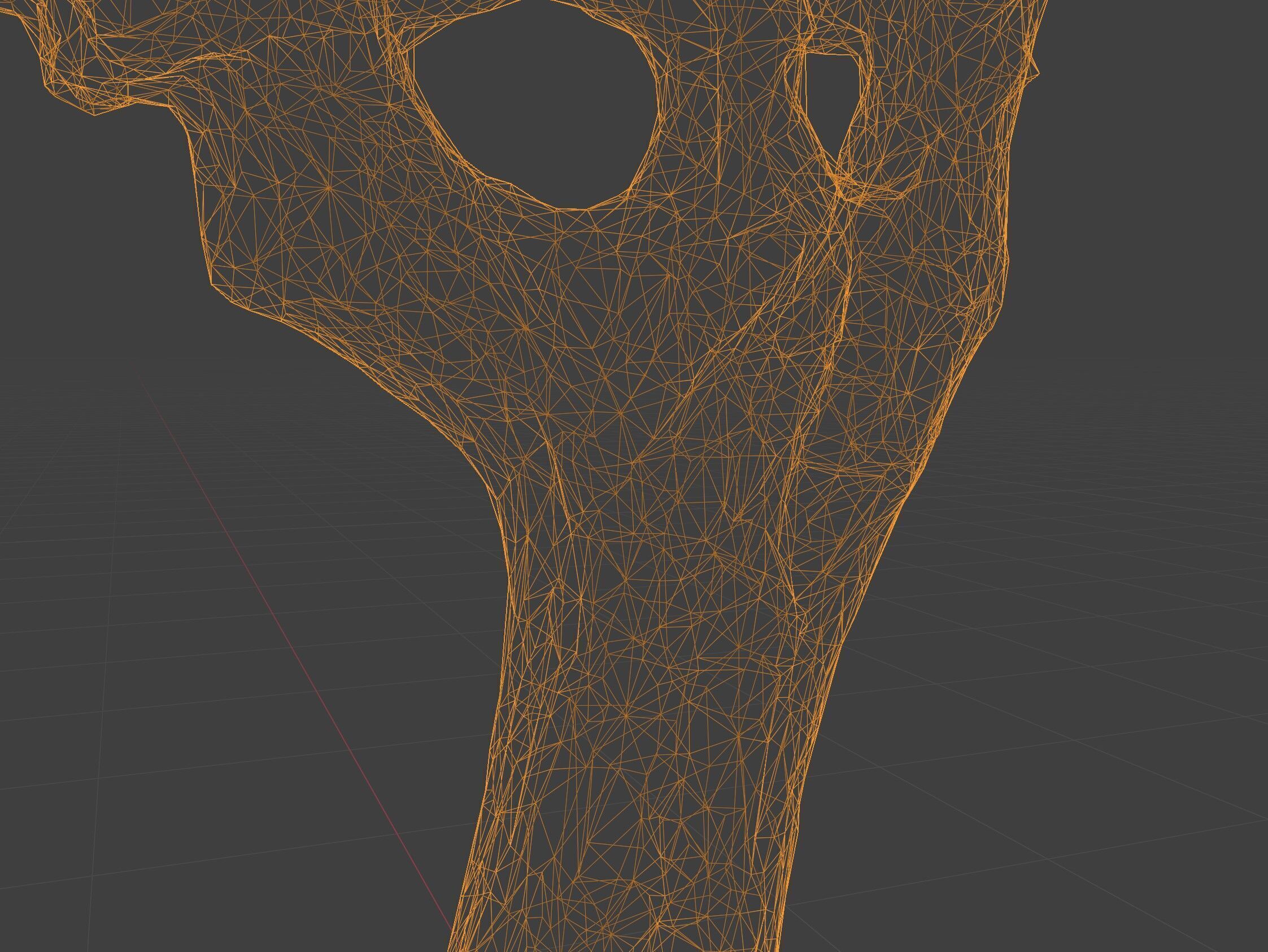 tree specimen 3D model_3