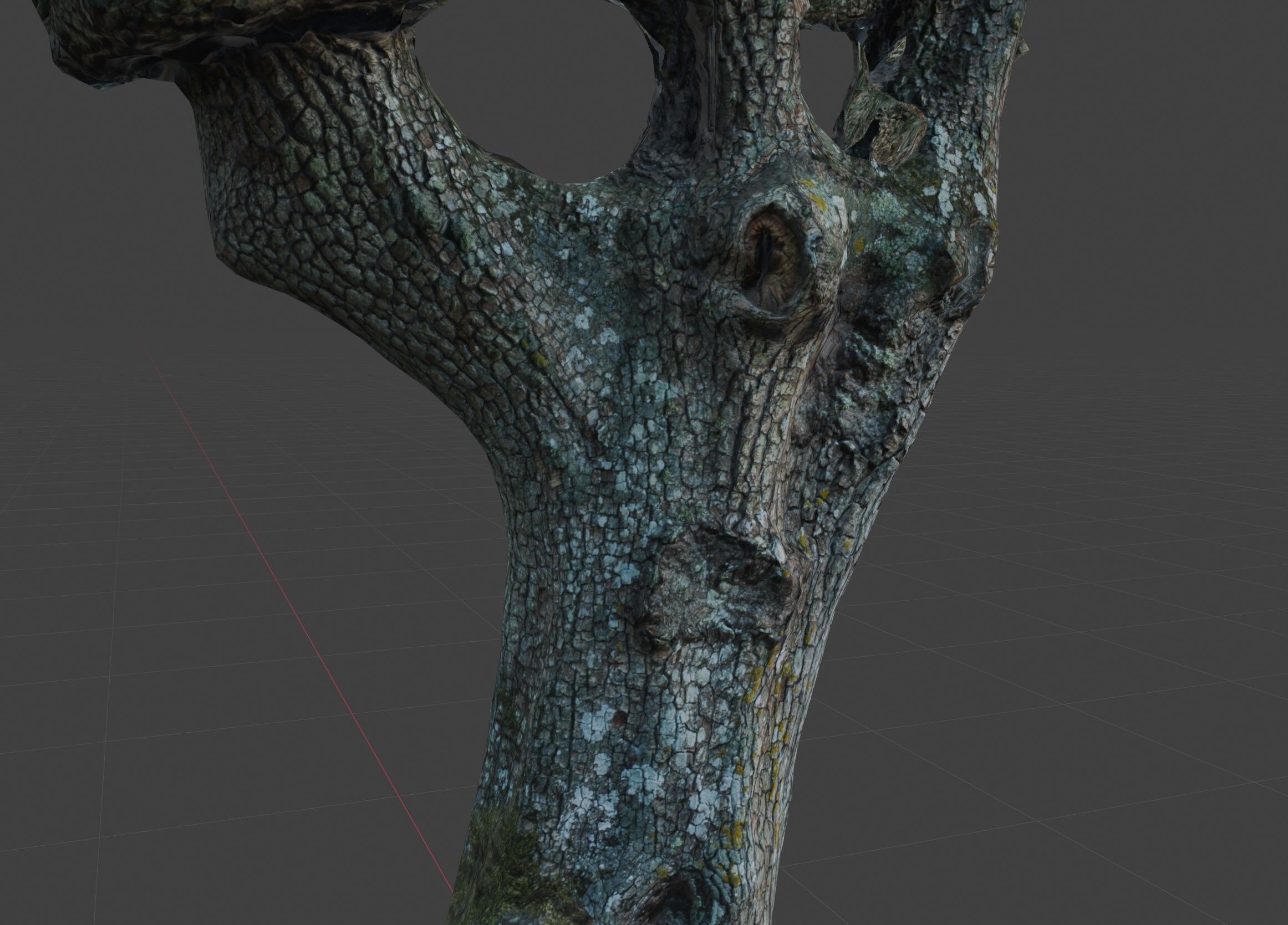 tree specimen 3D model_5