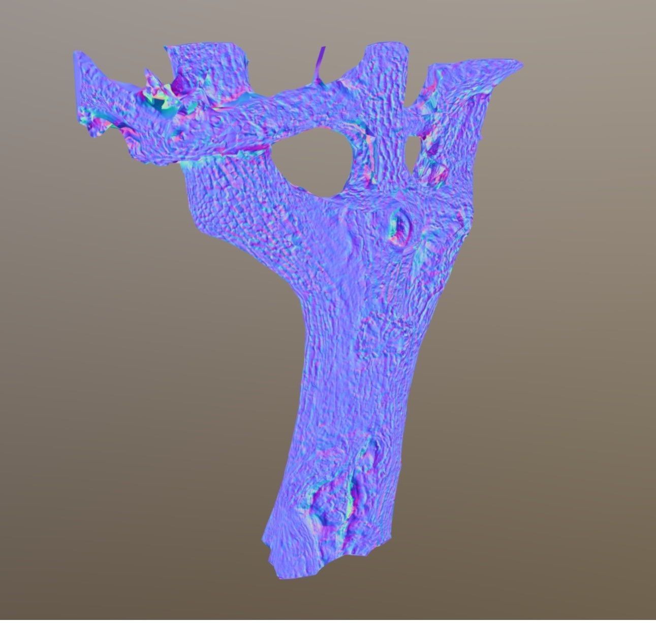 tree specimen 3D model_10