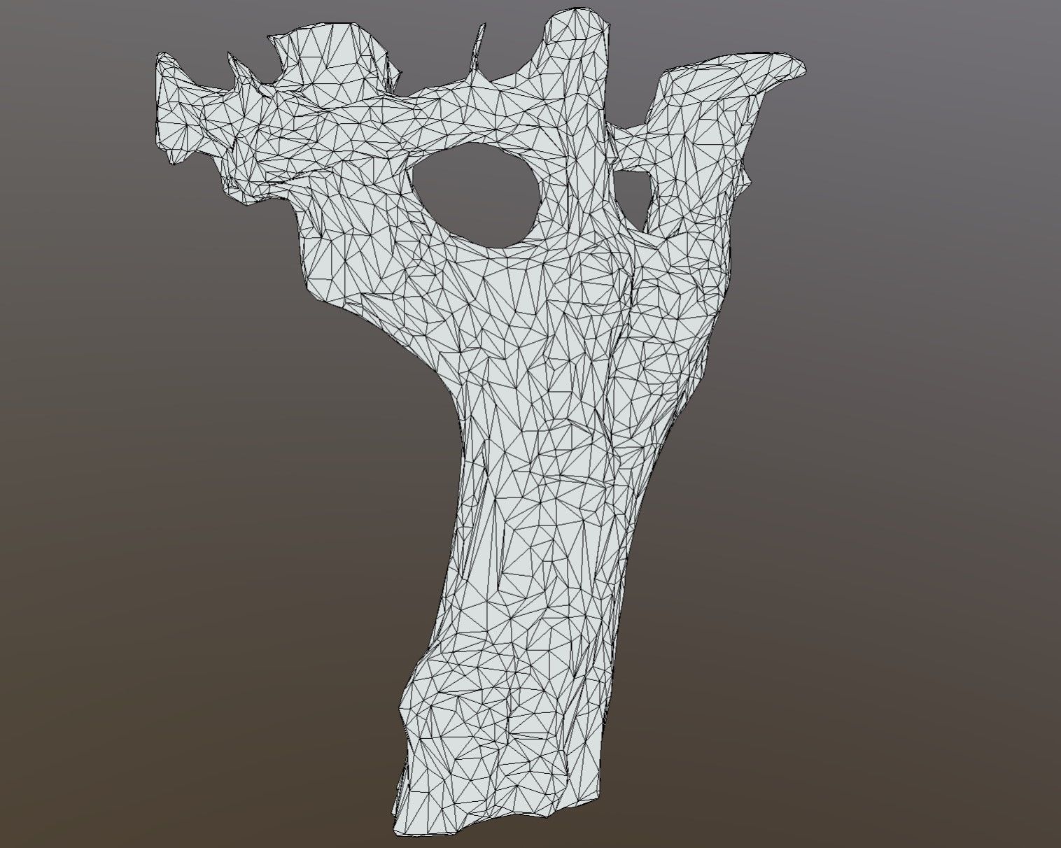tree specimen 3D model_11