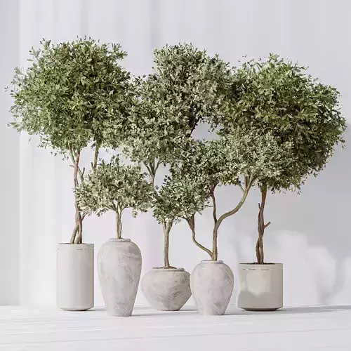 Artificial Olivo Olea Tree Indoor Vase 3D model