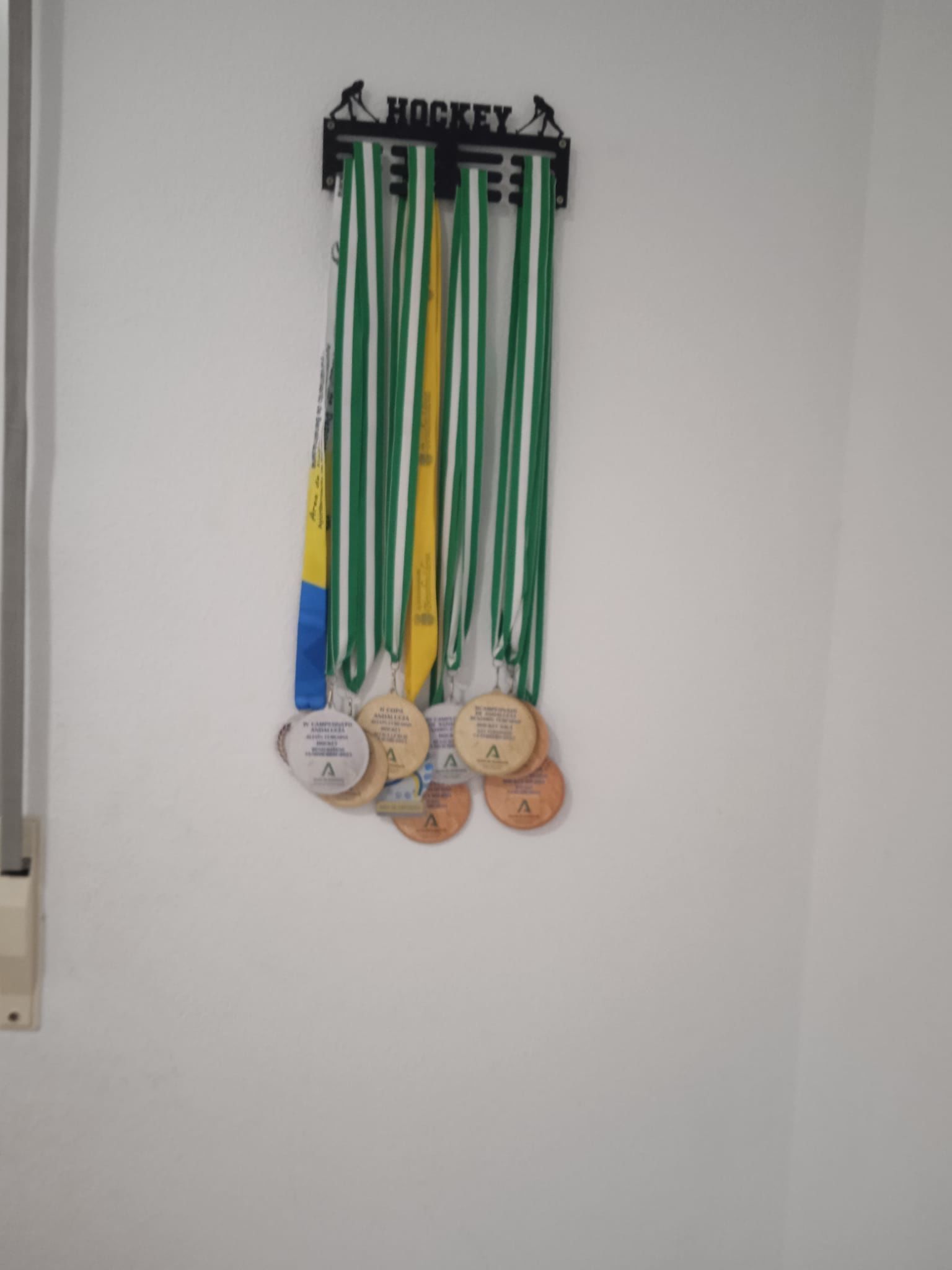 MEDALLERO HOCKEY 3D model_1