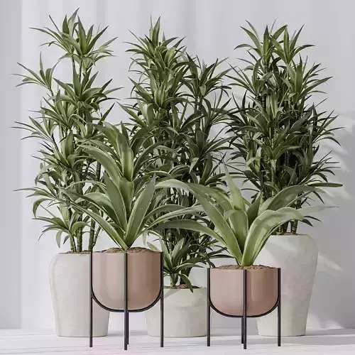 Lemon Lime Cane Dragon vases