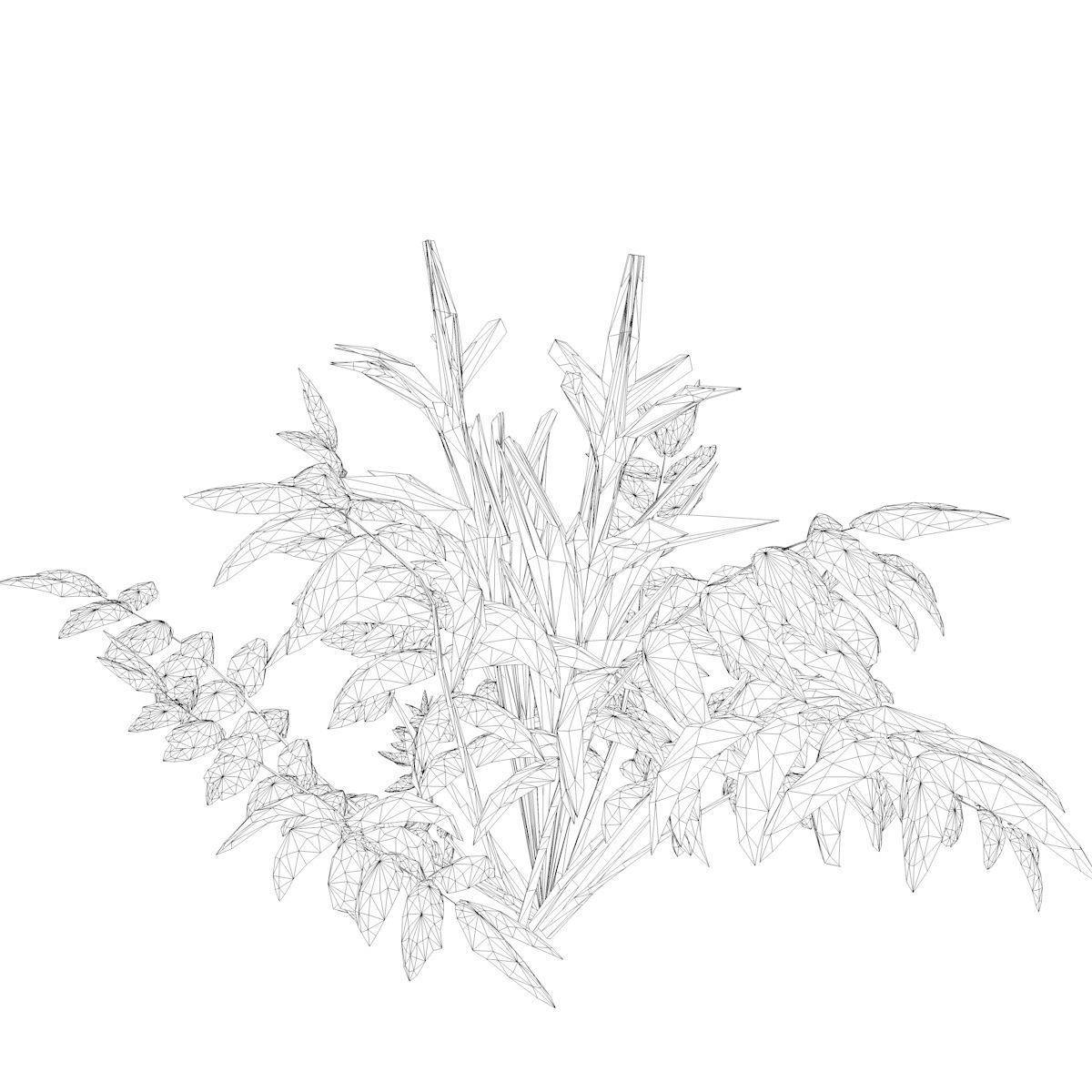 False Spirea Plant - 01 - 3D model_1