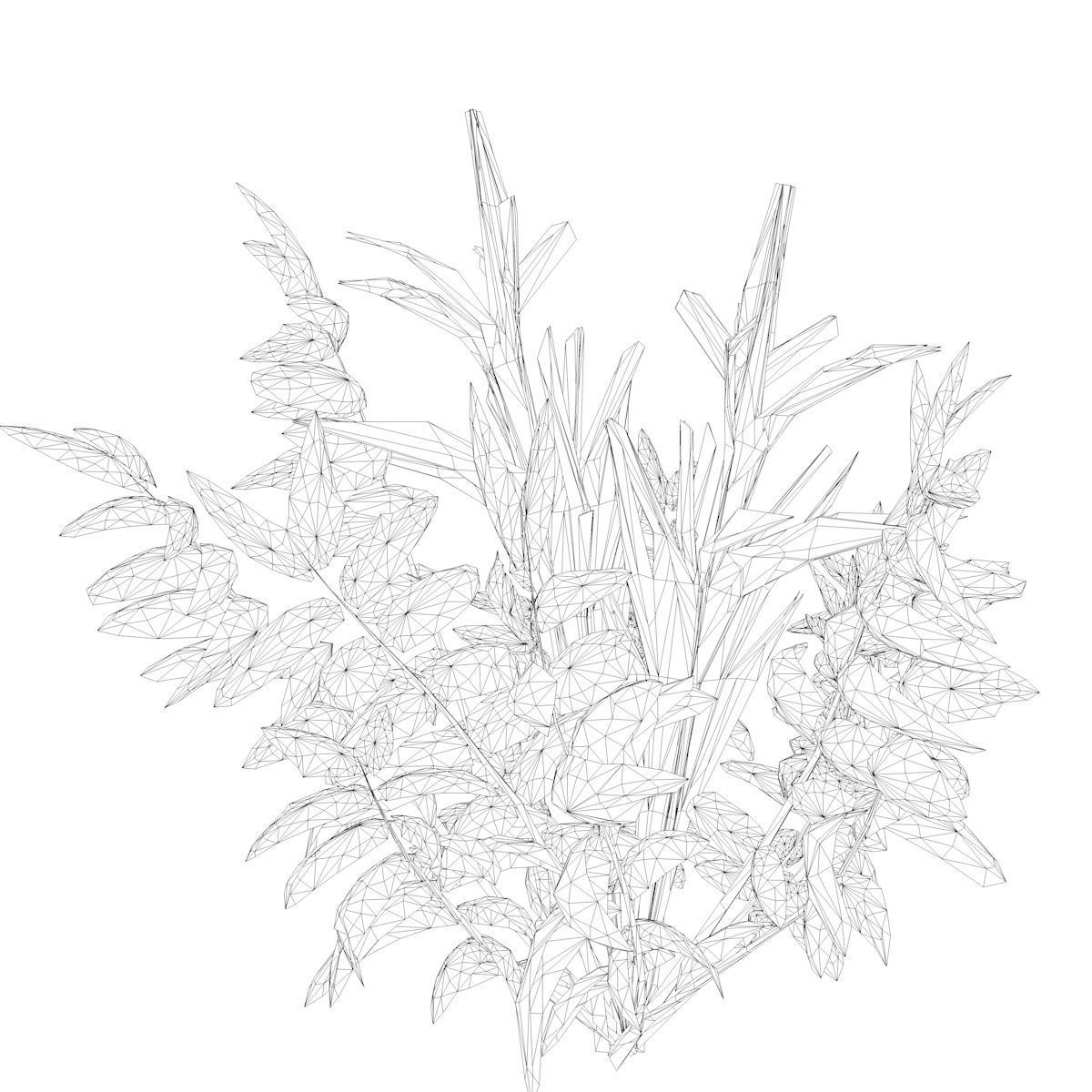 False Spirea Plant - 03 - 3D model_1