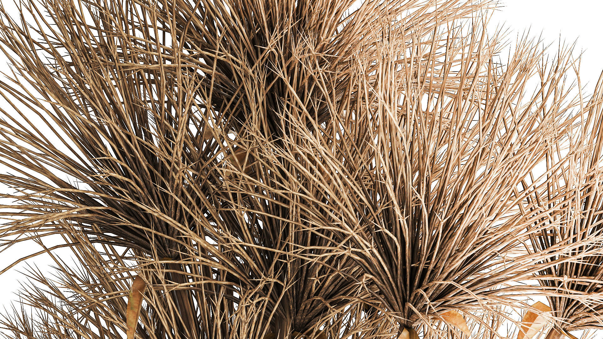 Small bouquet of dried flowers in a vase with hogweed 324 3D model_5