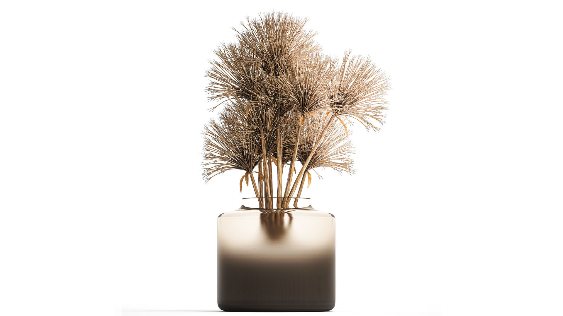 Small bouquet of dried flowers in a vase with hogweed 324 3D model_1